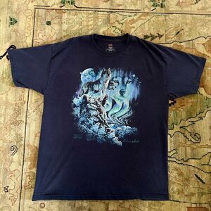 9 Hidden Wolves Northern Lights T Shirt Size Large Polar Graphics Alaska